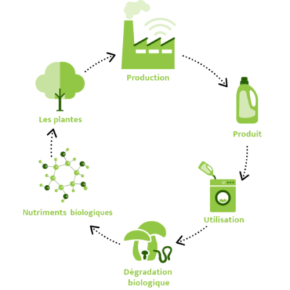 cycle_biologique new